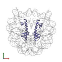 Histone H4 in PDB entry 1u35, assembly 1, front view.