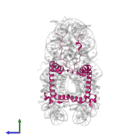 Core histone macro-H2A.1 in PDB entry 1u35, assembly 1, side view.