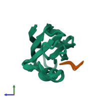 PDB entry 1u38 coloured by chain, ensemble of 20 models, side view.