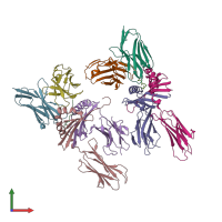 PDB entry 1u3h coloured by chain, front view.