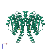 Homo dimeric assembly 1 of PDB entry 1u3i coloured by chemically distinct molecules, top view.