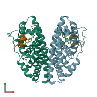 PDB entry 1u3s coloured by chain, front view.