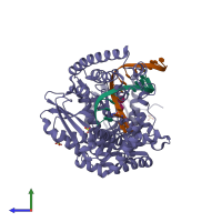 PDB entry 1u48 coloured by chain, side view.