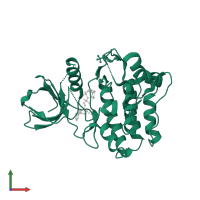 Activated CDC42 kinase 1 in PDB entry 1u54, assembly 1, front view.