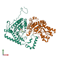 PDB entry 1u5b coloured by chain, front view.