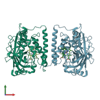 PDB entry 1u5u coloured by chain, front view.