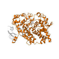The deposited structure of PDB entry 1u67 contains 1 copy of SCOP domain 48132 (Myeloperoxidase-like) in Prostaglandin G/H synthase 1. Showing 1 copy in chain A.