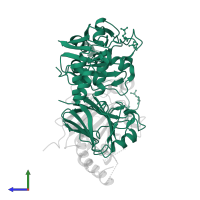 Mothers against decapentaplegic homolog 3 in PDB entry 1u7f, assembly 1, side view.