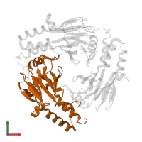 Mothers against decapentaplegic homolog 4 in PDB entry 1u7f, assembly 1, front view.