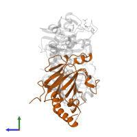 Mothers against decapentaplegic homolog 4 in PDB entry 1u7f, assembly 1, side view.