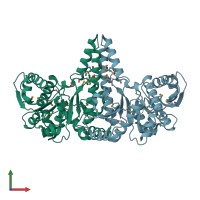 PDB entry 1u7n coloured by chain, front view.