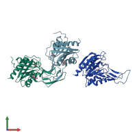 PDB entry 1u80 coloured by chain, front view.