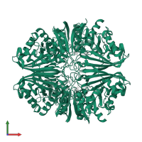 Glyceraldehyde-3-phosphate dehydrogenase in PDB entry 1u8f, assembly 1, front view.