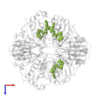 NICOTINAMIDE-ADENINE-DINUCLEOTIDE in PDB entry 1u8f, assembly 1, top view.