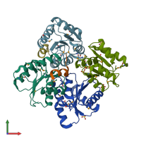 PDB entry 1u8t coloured by chain, front view.