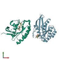 PDB entry 1u8y coloured by chain, front view.