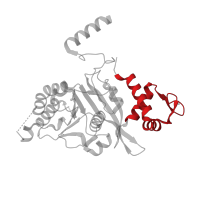 The deposited structure of PDB entry 1u94 contains 1 copy of CATH domain 3.30.250.10 (Rec A Protein; domain 2) in Protein RecA. Showing 1 copy in chain A.