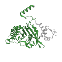 The deposited structure of PDB entry 1u94 contains 1 copy of Pfam domain PF00154 (recA bacterial DNA recombination protein) in Protein RecA. Showing 1 copy in chain A.