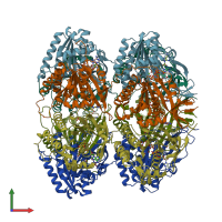 PDB entry 1u9i coloured by chain, front view.