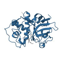 The deposited structure of PDB entry 1u9q contains 1 copy of Pfam domain PF00112 (Papain family cysteine protease) in Cruzipain. Showing 1 copy in chain A [auth X].
