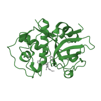 The deposited structure of PDB entry 1u9q contains 1 copy of SCOP domain 54002 (Papain-like) in Cruzipain. Showing 1 copy in chain A [auth X].
