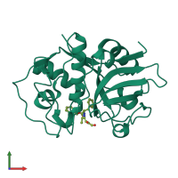 PDB entry 1u9q coloured by chain, front view.