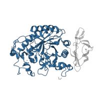 The deposited structure of PDB entry 1ua3 contains 1 copy of CATH domain 3.20.20.80 (TIM Barrel) in Pancreatic alpha-amylase. Showing 1 copy in chain A.