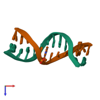 PDB entry 1uab coloured by chain, ensemble of 17 models, top view.