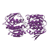 The deposited structure of PDB entry 1uae contains 1 copy of SCOP domain 55209 (Enolpyruvate transferase, EPT) in UDP-N-acetylglucosamine 1-carboxyvinyltransferase. Showing 1 copy in chain A.