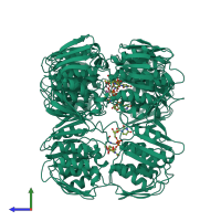 Homo trimeric assembly 1 of PDB entry 1uae coloured by chemically distinct molecules, side view.
