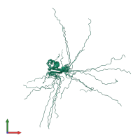 PDB entry 1ub1 coloured by chain, ensemble of 10 models, front view.