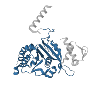 The deposited structure of PDB entry 1ubc contains 1 copy of CATH domain 3.40.50.300 (Rossmann fold) in Protein RecA. Showing 1 copy in chain A.