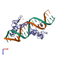 PDB entry 1ubd coloured by chain, top view.