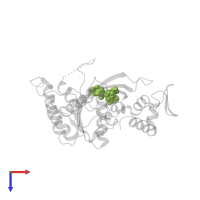 PHOSPHOTHIOPHOSPHORIC ACID-ADENYLATE ESTER in PDB entry 1ubf, assembly 1, top view.