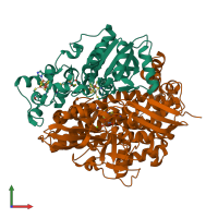 PDB entry 1ubr coloured by chain, front view.