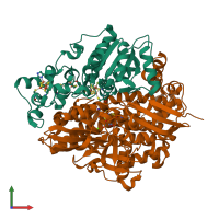 PDB entry 1ubt coloured by chain, front view.