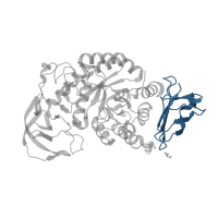 The deposited structure of PDB entry 1ud2 contains 1 copy of CATH domain 2.60.40.1180 (Immunoglobulin-like) in Glycosyl hydrolase family 13 catalytic domain-containing protein. Showing 1 copy in chain A.
