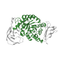 The deposited structure of PDB entry 1ud2 contains 1 copy of CATH domain 3.20.20.80 (TIM Barrel) in Glycosyl hydrolase family 13 catalytic domain-containing protein. Showing 1 copy in chain A.