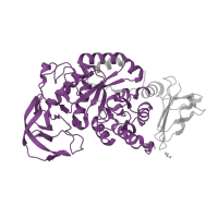 The deposited structure of PDB entry 1ud2 contains 1 copy of Pfam domain PF00128 (Alpha amylase, catalytic domain) in Glycosyl hydrolase family 13 catalytic domain-containing protein. Showing 1 copy in chain A.