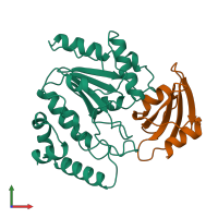 PDB entry 1udi coloured by chain, front view.