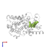 5-{2-ETHOXY-5-[(4-METHYLPIPERAZIN-1-YL)SULFONYL]PHENYL}-1-METHYL-3-PROPYL-1H,6H,7H-PYRAZOLO[4,3-D]PYRIMIDIN-7-ONE in PDB entry 1udt, assembly 1, top view.