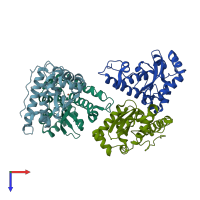 PDB entry 1uer coloured by chain, top view.