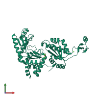 PDB entry 1uet coloured by chain, front view.