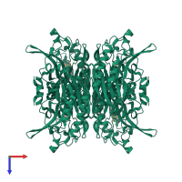 Homo tetrameric assembly 1 of PDB entry 1uf7 coloured by chemically distinct molecules, top view.