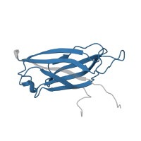 The deposited structure of PDB entry 1ugk contains 1 copy of Pfam domain PF00168 (C2 domain) in Synaptotagmin-4. Showing 1 copy in chain A.