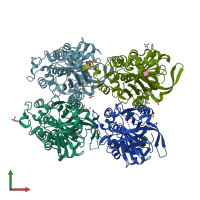 PDB entry 1uhg coloured by chain, front view.