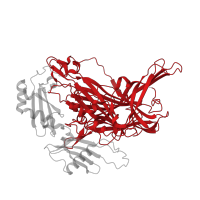 The deposited structure of PDB entry 1ui8 contains 2 copies of CATH domain 2.70.98.20 (Beta-galactosidase; Chain A, domain 5) in Phenylethylamine oxidase. Showing 1 copy in chain A.