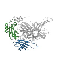 The deposited structure of PDB entry 1ui8 contains 4 copies of CATH domain 3.10.450.40 (Nuclear Transport Factor 2; Chain: A,) in Phenylethylamine oxidase. Showing 2 copies in chain A.