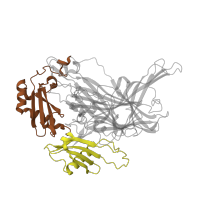 The deposited structure of PDB entry 1ui8 contains 4 copies of SCOP domain 54417 (Amine oxidase N-terminal region) in Phenylethylamine oxidase. Showing 2 copies in chain A.