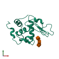 PDB entry 1uih coloured by chain, front view.